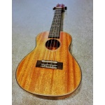 Ukelele Concierto Caoba 320cm Con Funda Izzo 320cm - Image 2