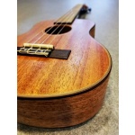 Ukelele Concierto Caoba 320cm Con Funda Izzo 320cm - Image 4