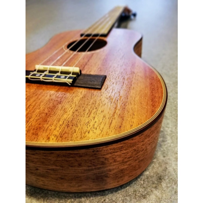 Ukelele Concierto Caoba 320cm Con Funda Izzo 320cm - Image 4