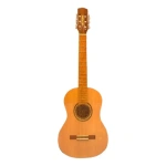 Guitarra Clasica Criolla Valenciana Con Funda Acolchada