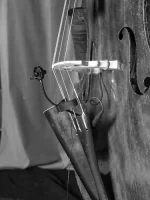 Microfono Para Contrabajo Prodipe BL21 - Image 4