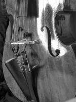 Microfono Para Contrabajo Prodipe BL21 - Image 2