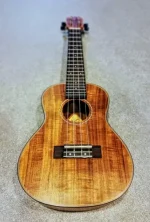 Ukelele Concierto Koa Con Funda Izzo 330CK - Image 3