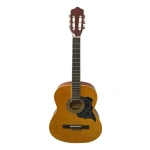 Guitarra Criolla Con Funda Acolchada