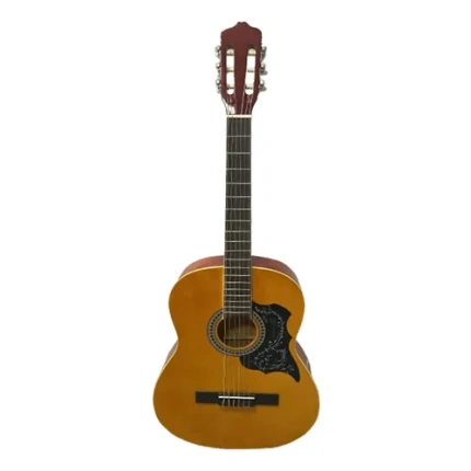 Guitarra Criolla Con Funda Acolchada